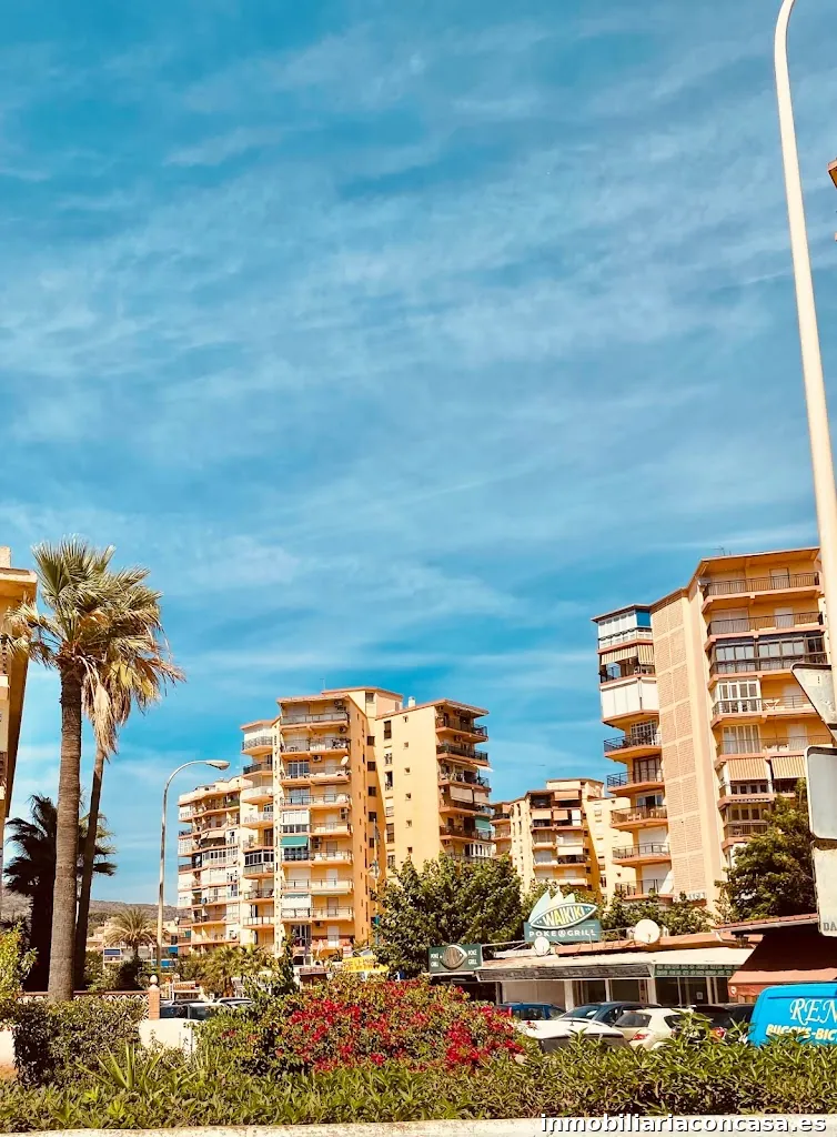 MO | Estudio Tres Caballos