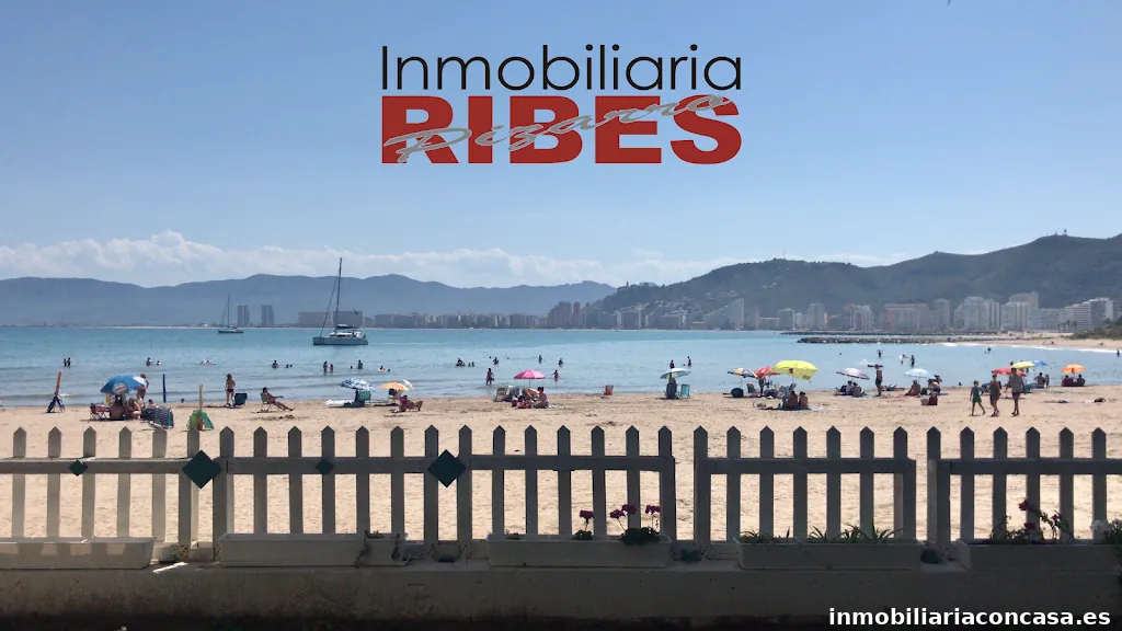Inmobiliaria Ribes Pizarro