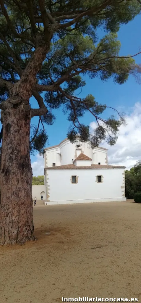 Imagen 2