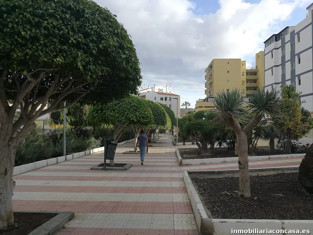 Imagen 3
