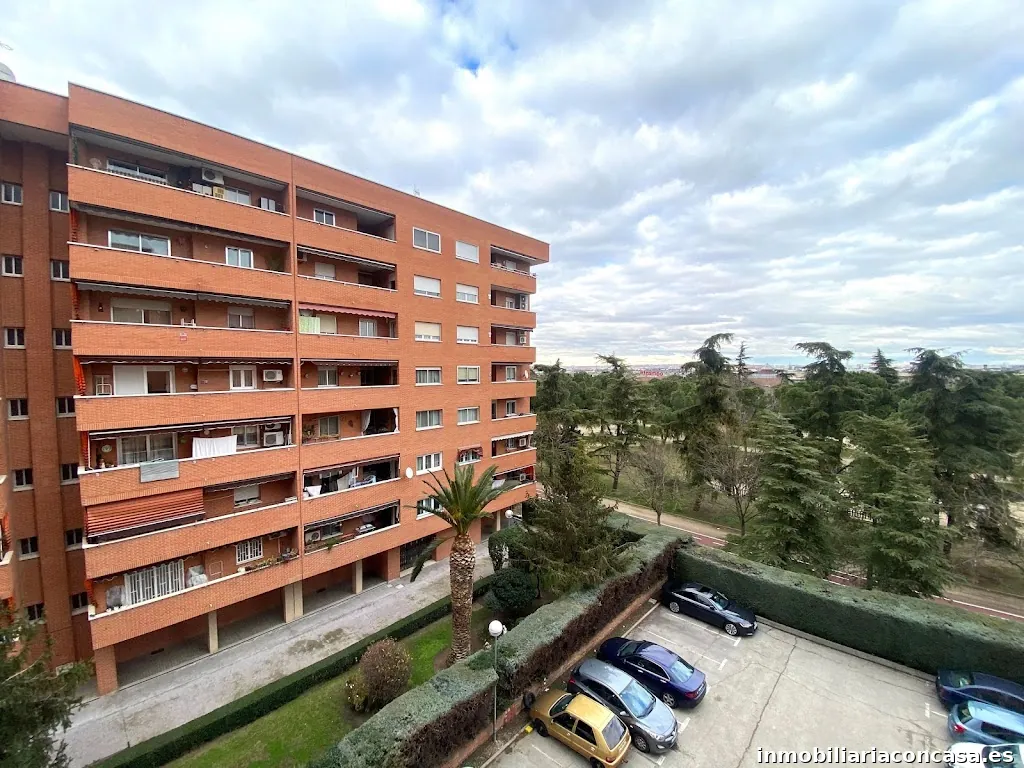 Imagen 2