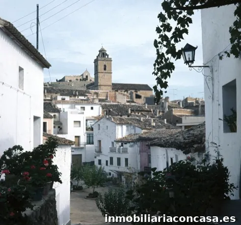 Imagen 2