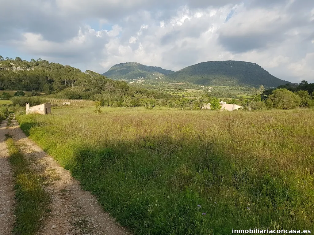 International Mallorca