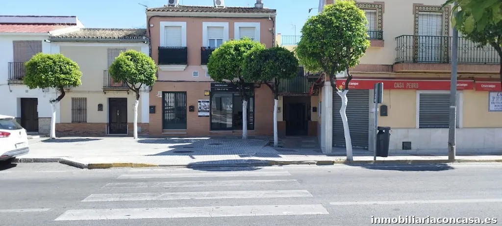 Imagen 3