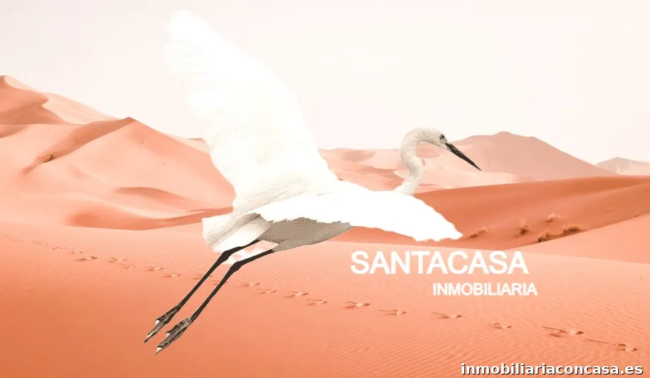 Santacasa inmobiliaria