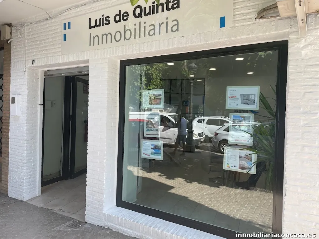 Luis de Quinta Inmobiliaria, S.L.