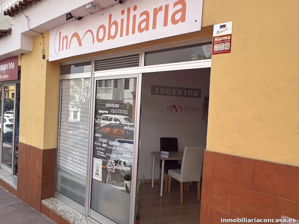 Ingenium Centro Inmobiliario