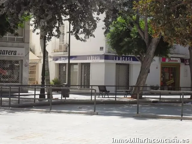 Imagen 3