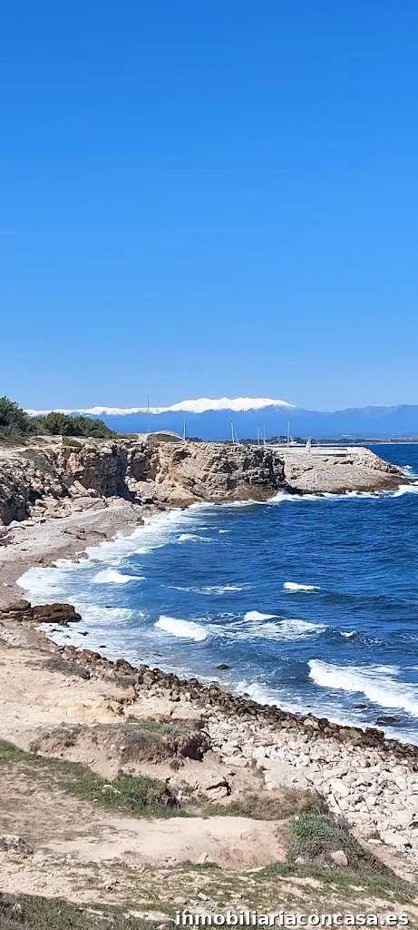 THURNEYSEN Real Estate Services