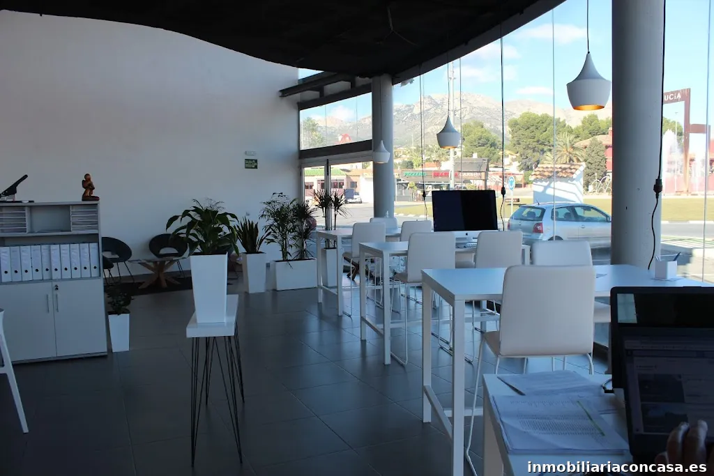 DOMUS DP Real Estate