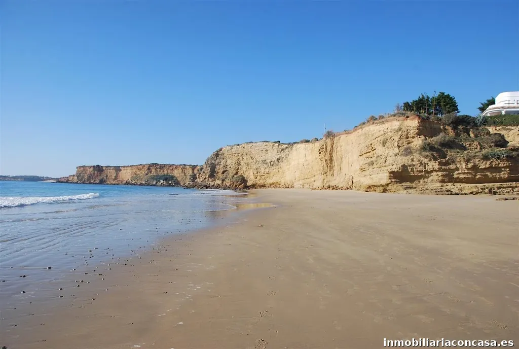 CONILPLAYAMAR INMOBILIARIA