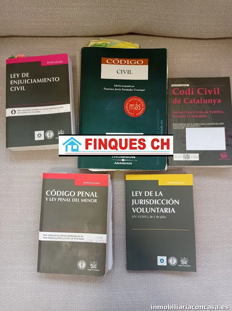 INMOBILIARIA FINQUES CH Y ABOGADOS