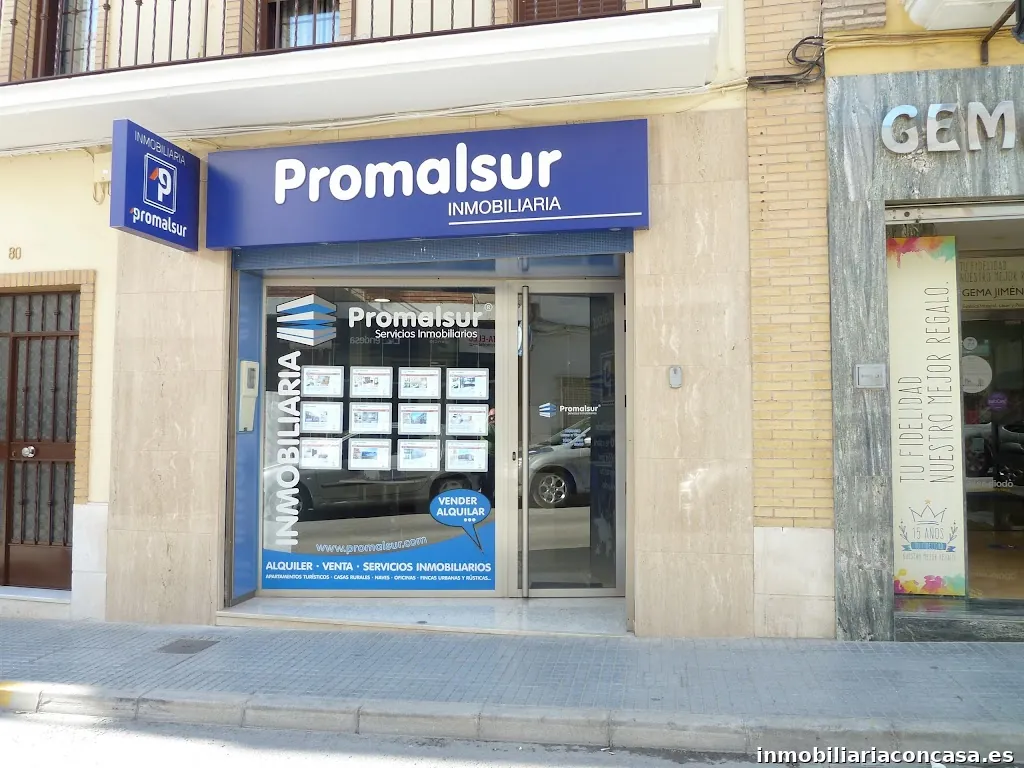 INMOBILIARIA PROMALSUR