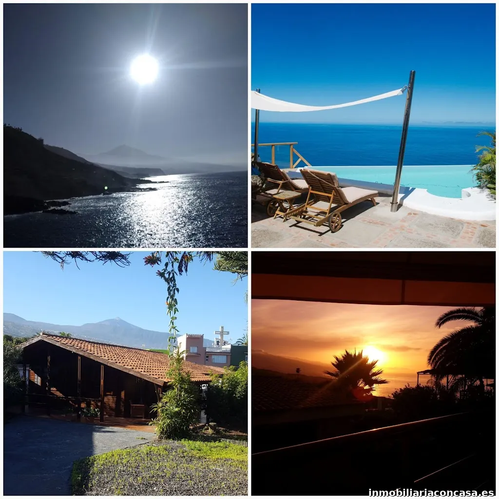 Inmobiliaria MoniCasa - Monica Tracy