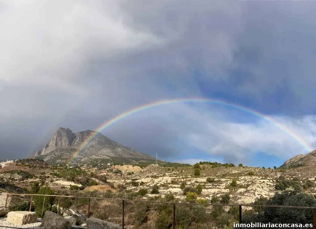 Torres Inmobiliaria-Real Estate