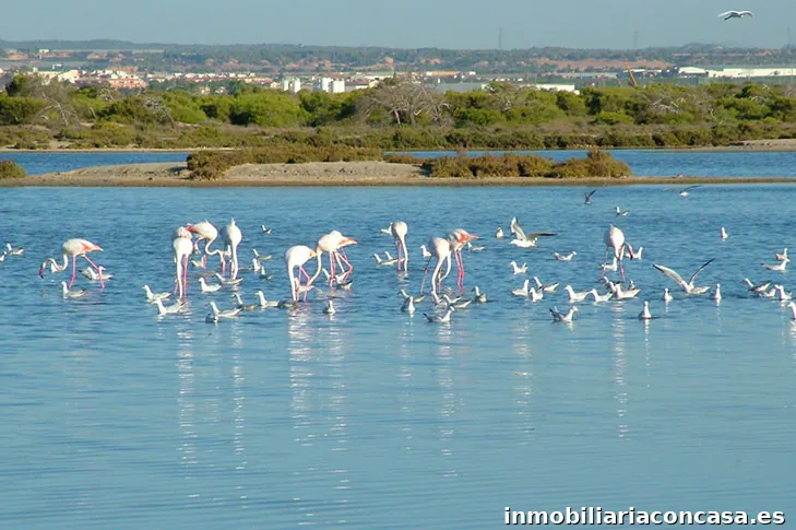 Inmobiliaria Llave en Mano