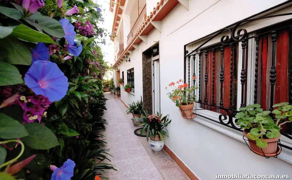 Apartamentos en Gandía | Apartamentos Gandia Inter