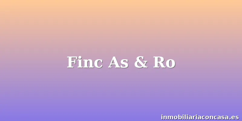 Finc As & Ro