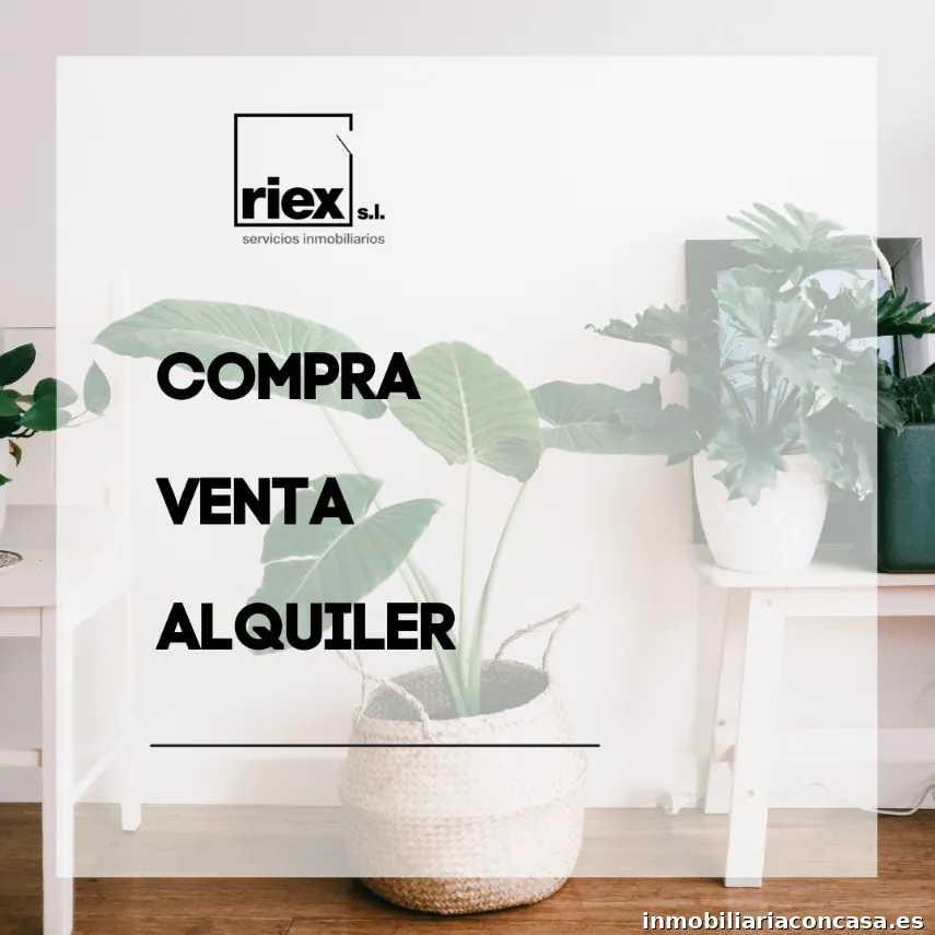Riex Servicios Inmobiliarios - Logroño