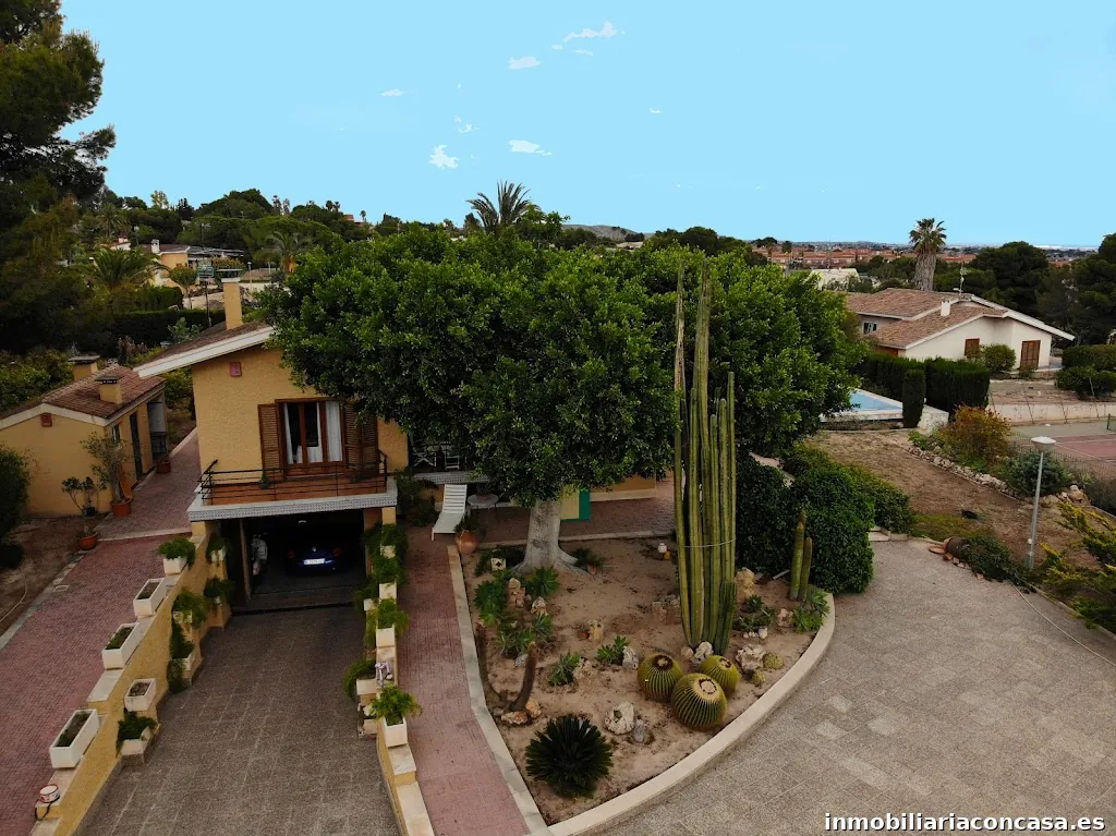 Imagen 3