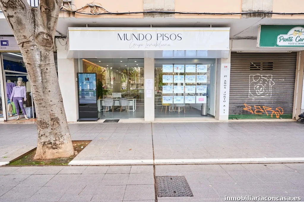 Imagen 2
