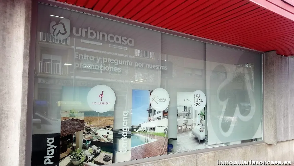 Imagen 2