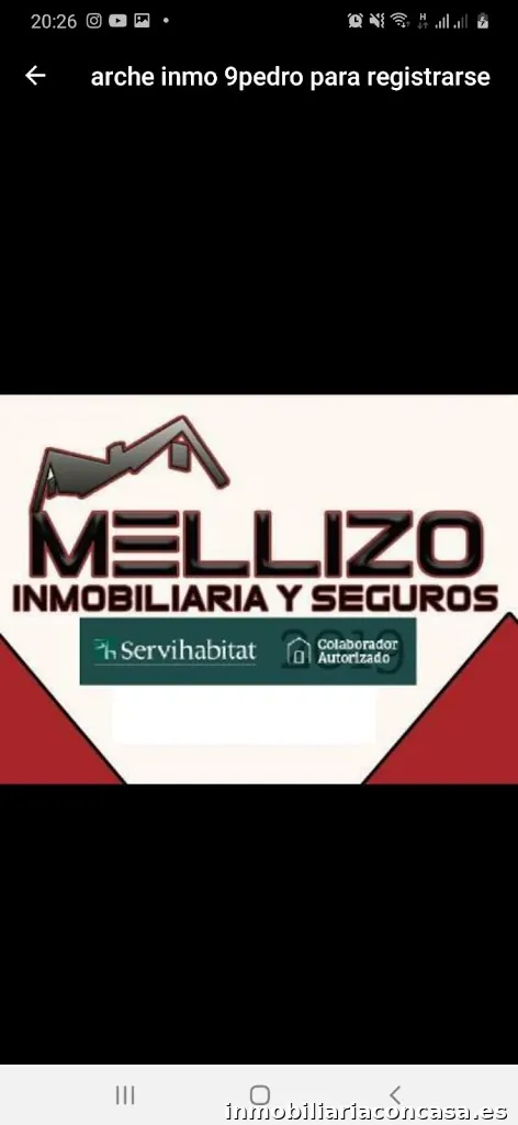 INMOBILIARIA Y SEGUROS MELLIZO