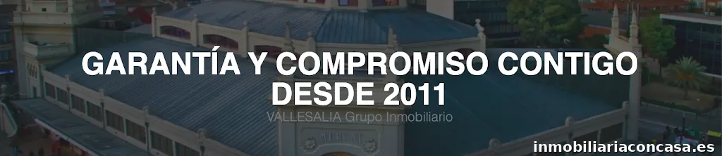 Vallesalia Grupo Inmobiliario