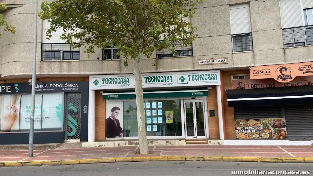 Imagen 1