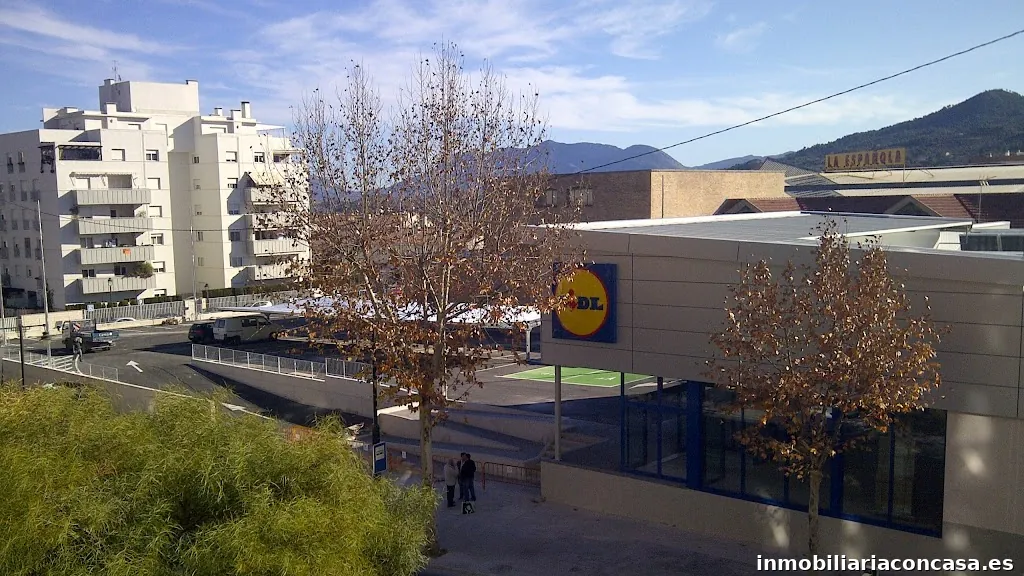 Imagen 2