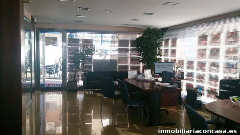 Imagen 3
