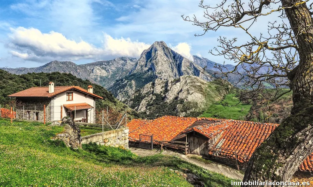 AFILIA INMOBILIARIAS