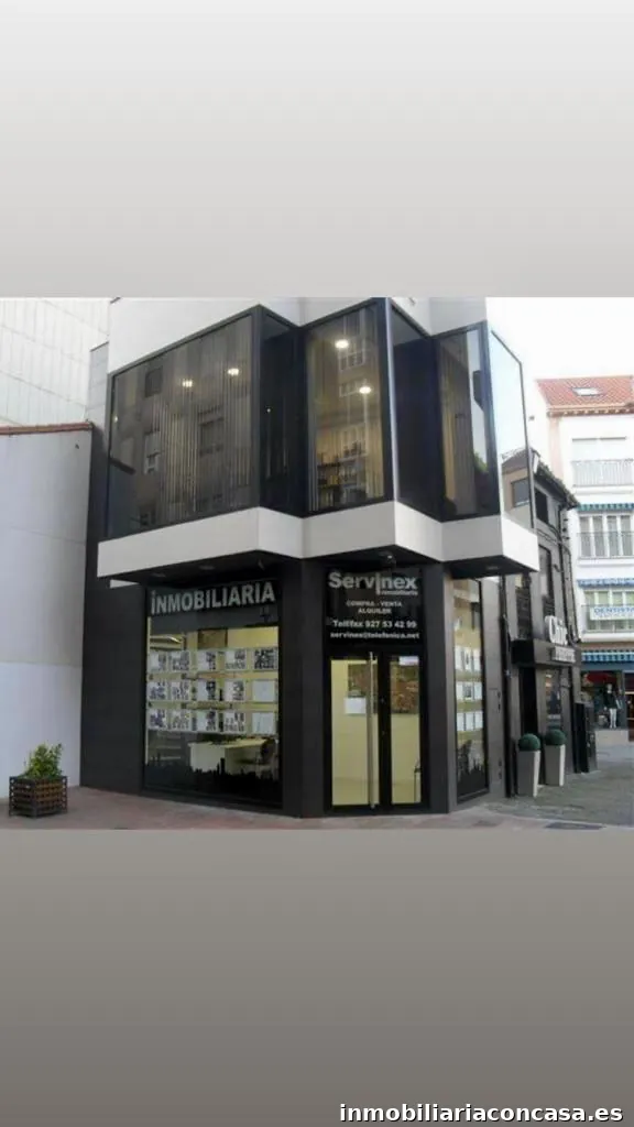 INMOBILIARIA SERVINEX