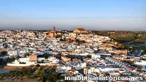 Tecnocasa agencia inmobiliaria