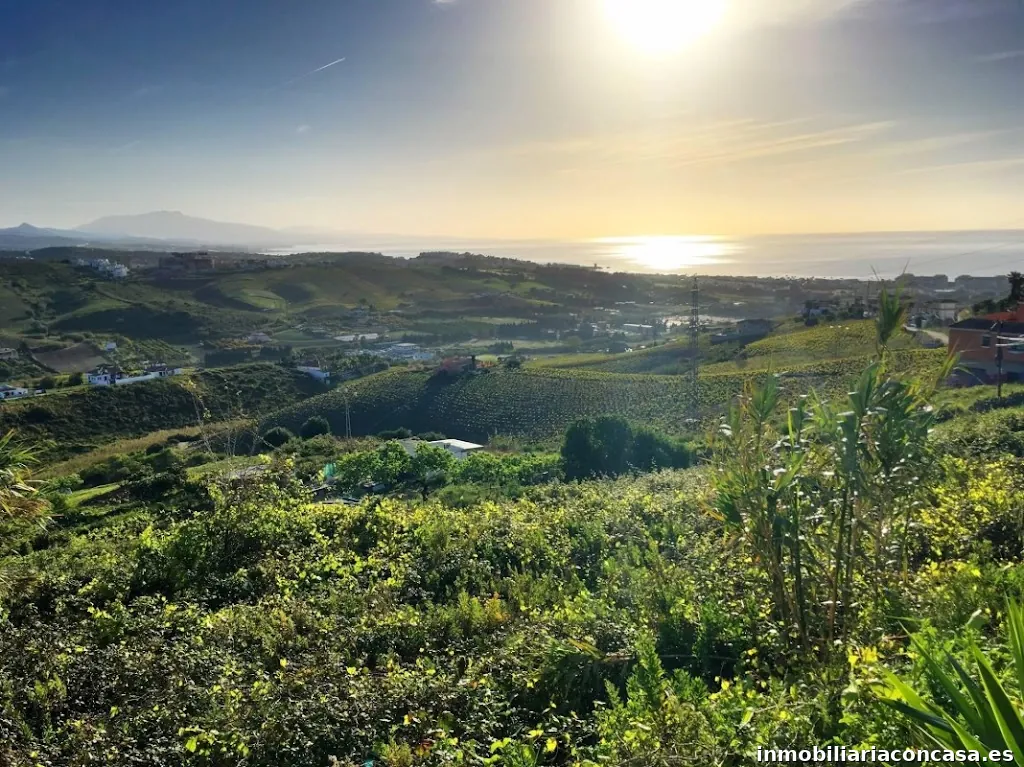 Fastighetsbyrån Manilva