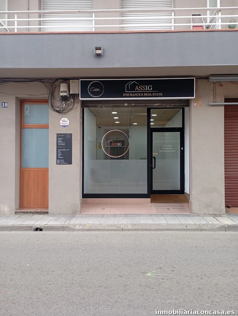 ASSIG IMMOBILIARIA