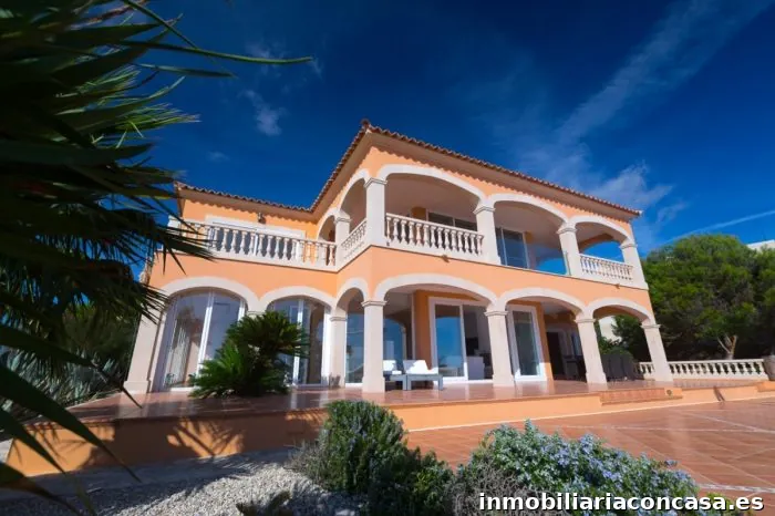 Dray and Partners Mallorca