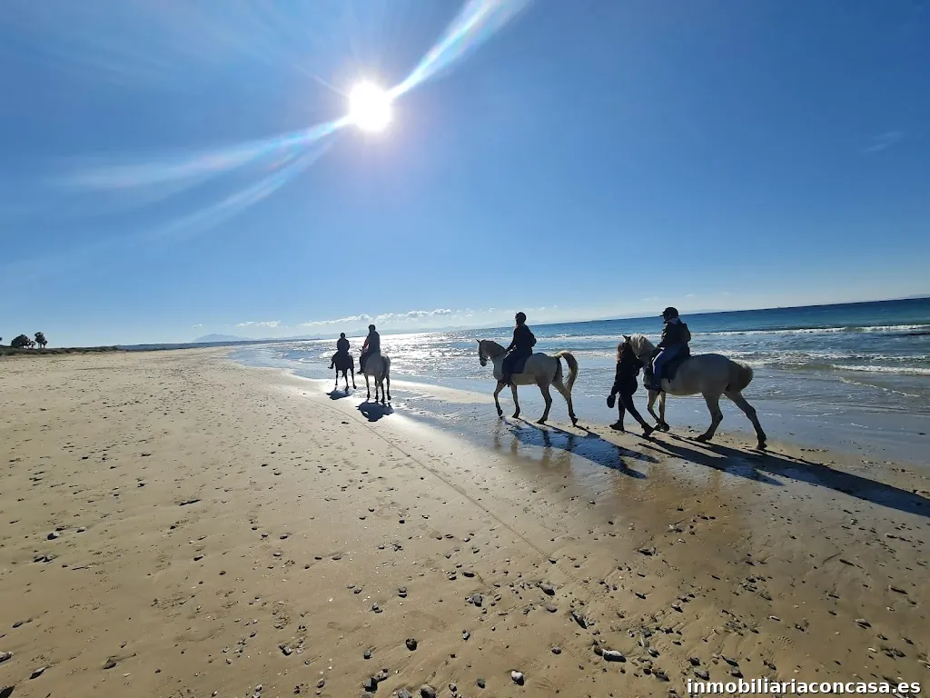 Inmobiliaria Mariluz GARRIDO Asesora inmobiliaria Iad España Tarifa