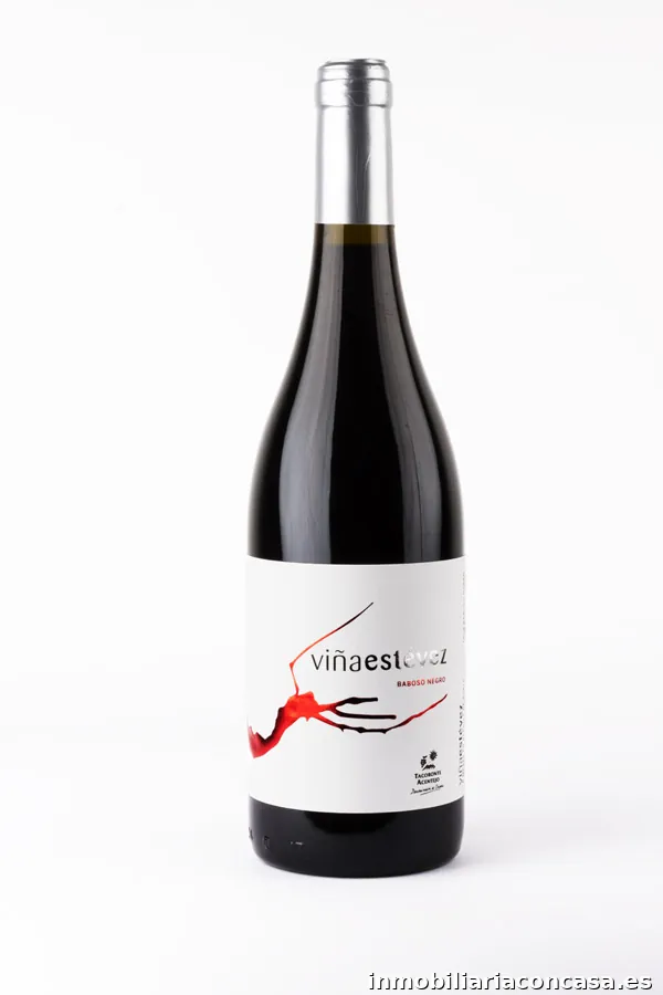 Bodega Viña Estévez