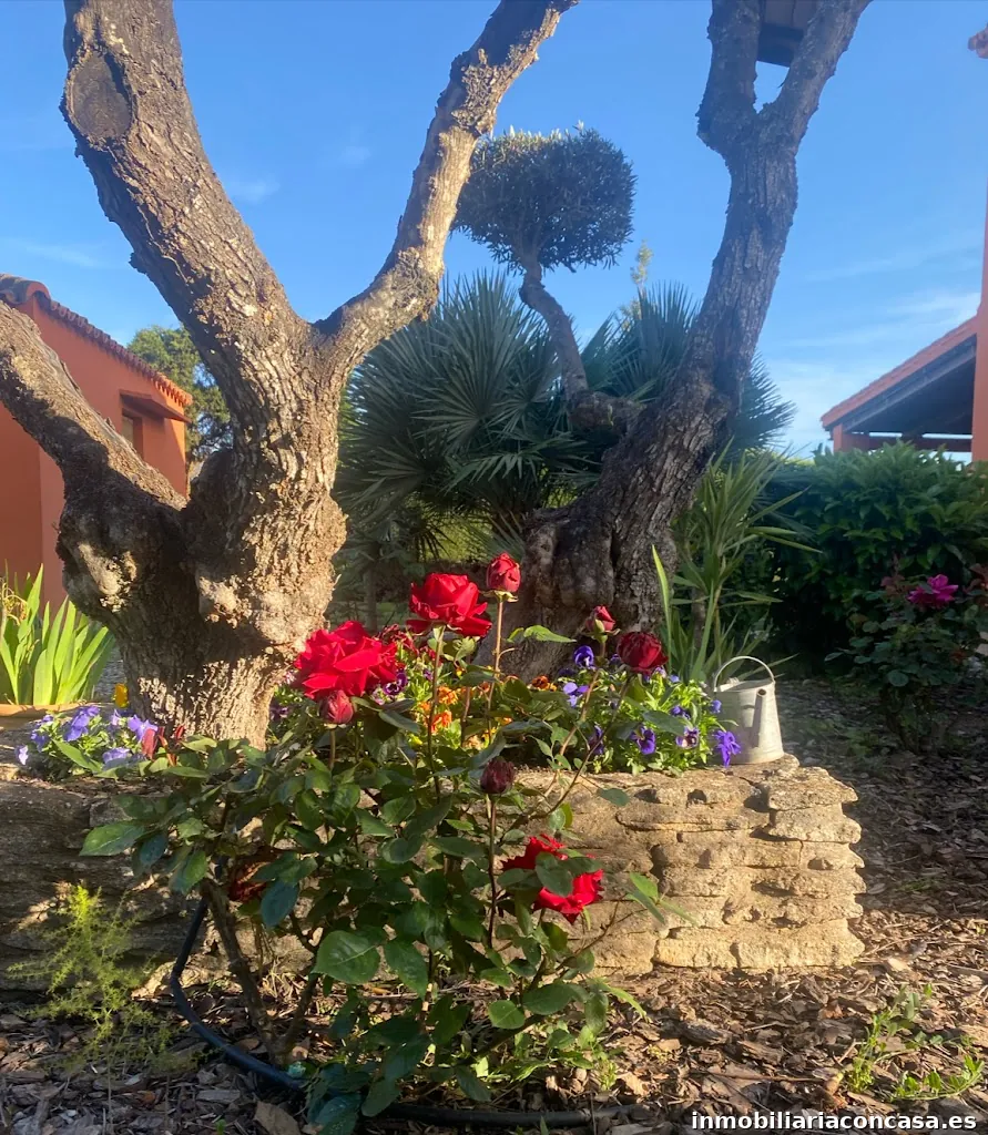 Villa Alegría Ronda