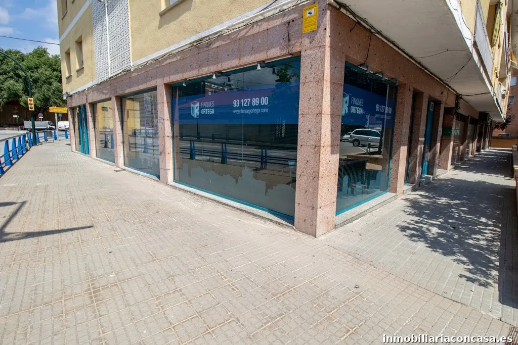 Imagen 4