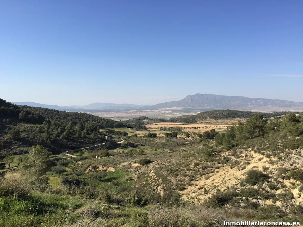 Stratus International Properties