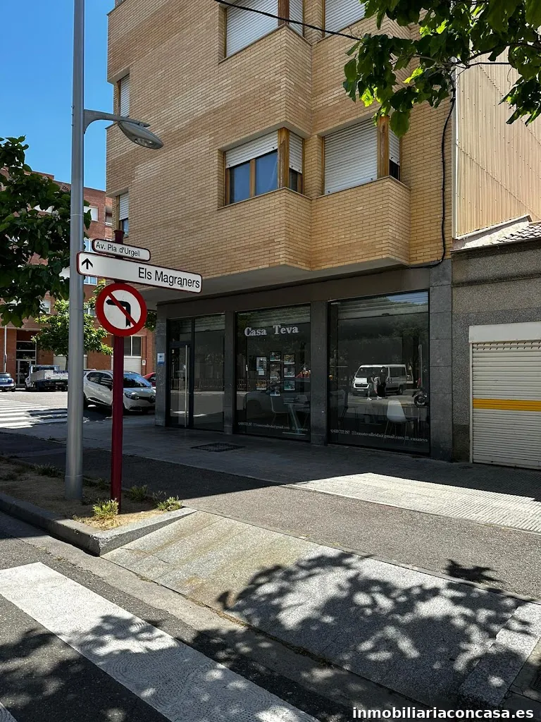 Imagen 3
