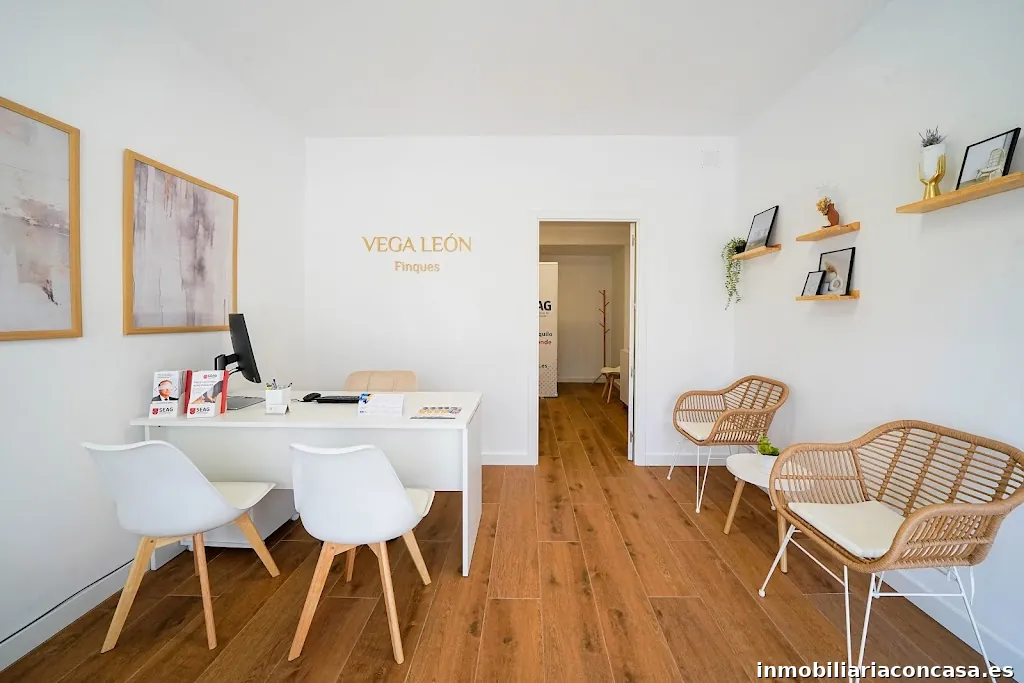 Vega León Finques