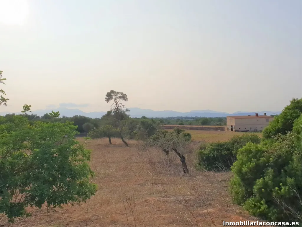 Inmobiliaria Can Picafort Casas Mallorquinas