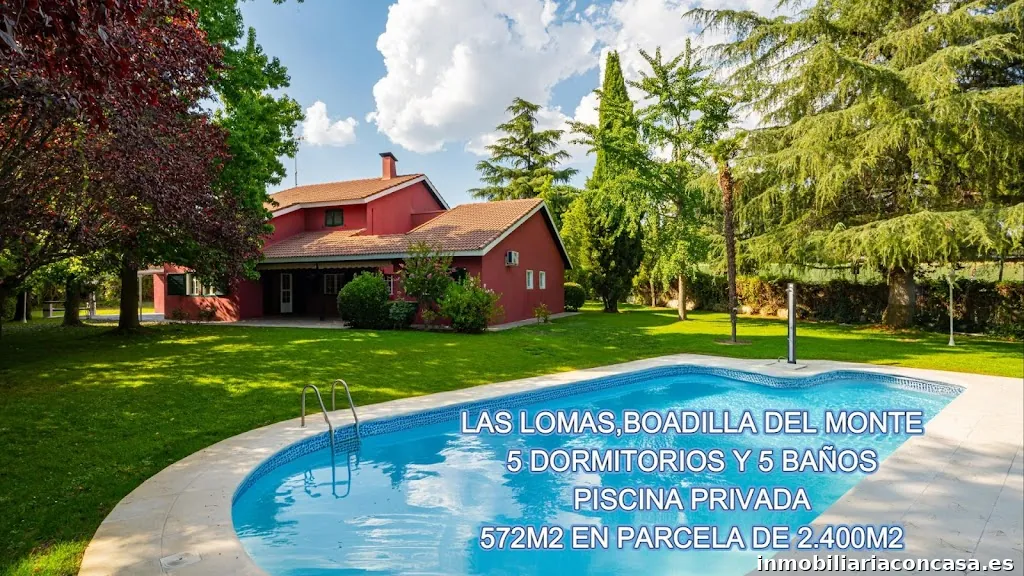 Imagen 2