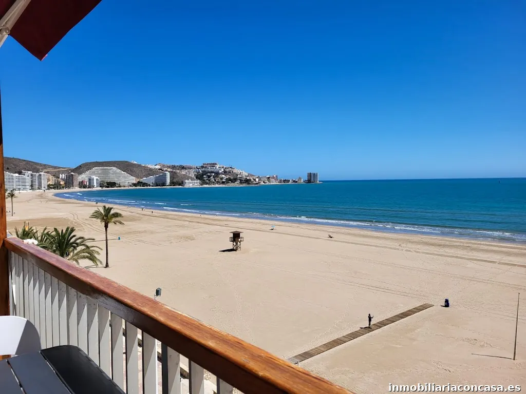 lovecullera