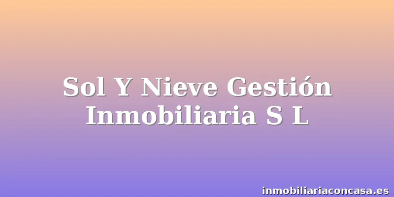 Sol Y Nieve Gestión Inmobiliaria S L