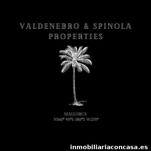 Valdenebro & Spinola Properties
