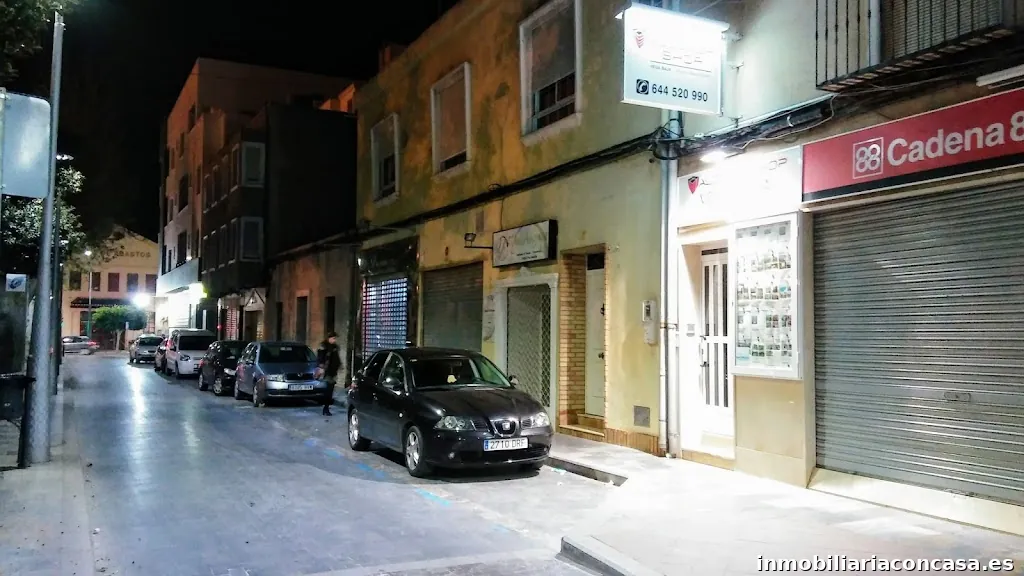 INMOBILIARIA VEGA BAJA